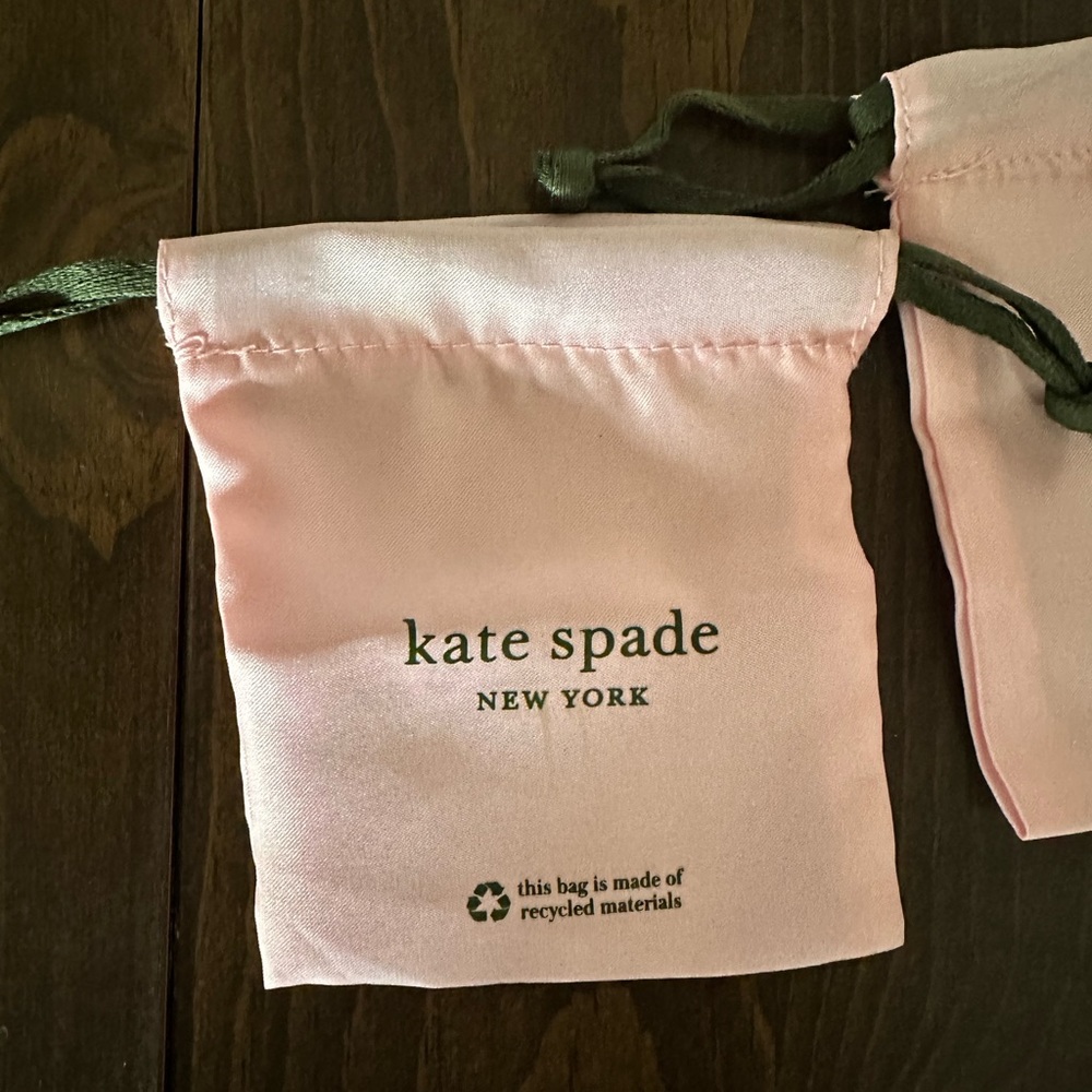 Kate Spade jewelry bag